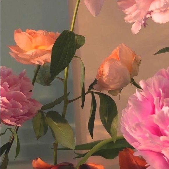 Hi there, happy shopping :) selling brand new, preloved & lightly worn items - Picture 1 of 1